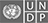 Undp logo