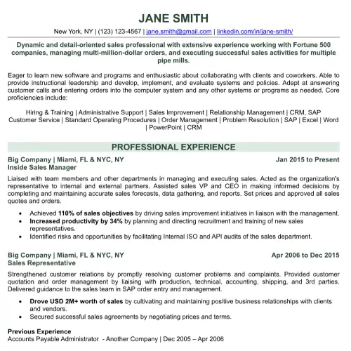 Resume example